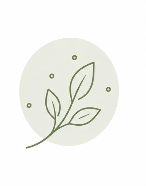 SPR靈性再重組療法圖示